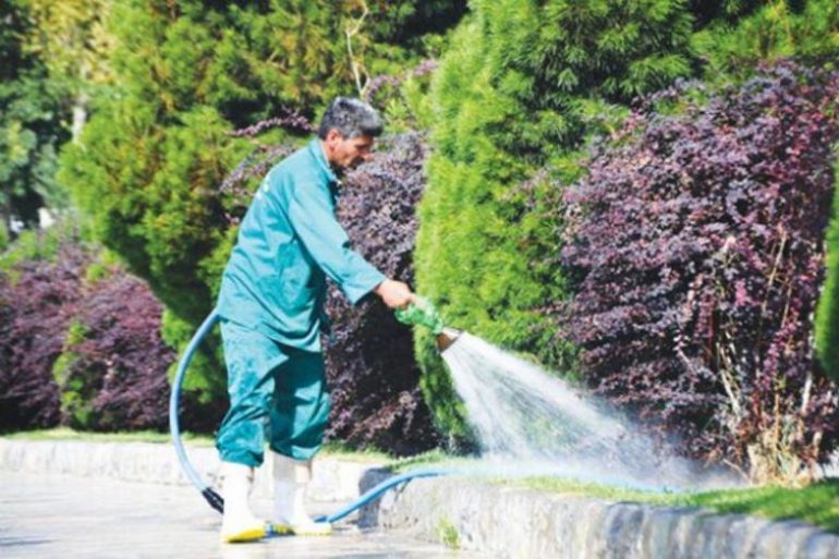 «مردم در حسرت آب، فضای سبز بندرعباس سیراب از آب آشامیدنی!»