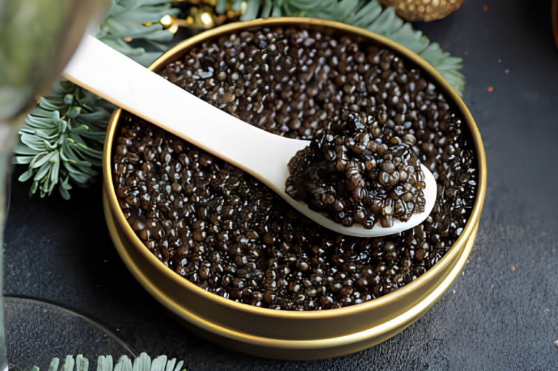 استحصال خاویار برای اولین بار در آذربایجان شرقی بعد از یک دهه