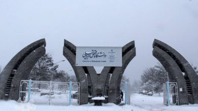 معاون پژوهش و فناوری: رتبه‌ی جهانی دانشگاه محقق اردبیلی ارتقا یافت