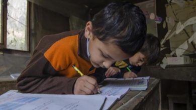 «7800 دانش آموز اول ابتدایی بازمانده از تحصیل»