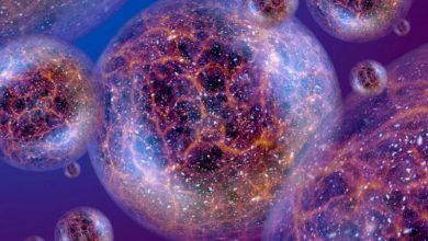 مولتی‌ورس سعدی