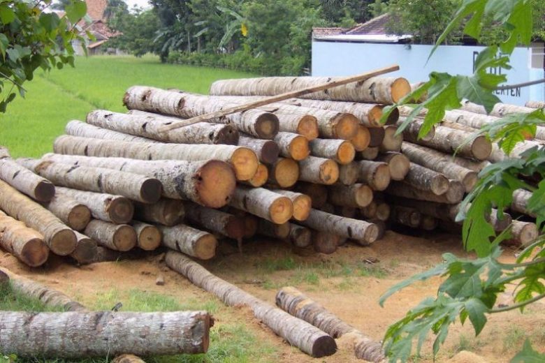 «هشت تن چوب جنگلی قاچاق در اردبیل کشف شد»