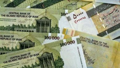 «حذف یارانه تعدادی از یارانه‌بگیران در دی ماه»