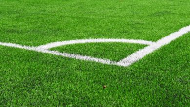 «۱۰۰ پروژه زمین چمن مصنوعی در خراسان جنوبی در حال ساخت است»