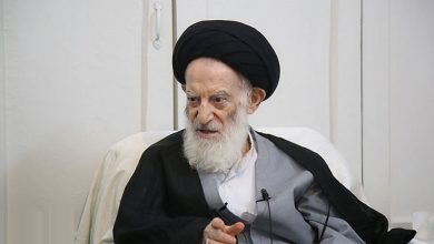 «اگر تکذیب نکنیم نظام‌ها به هم خواهد ریخت»