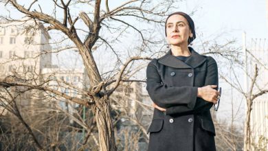 مولانا از زندگی می‌گوید و زندگی متعلق به همه است