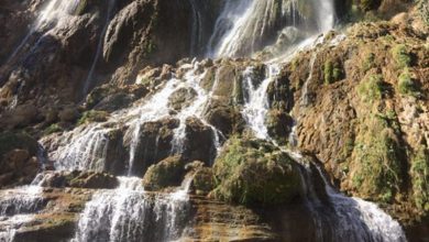 مدیرکل میراث فرهنگی لرستان: تلاش کنیم بیشه از قافله ثبت جهانی بازنماند