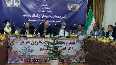 استاندار بوشهر: شهرداری‌ها دچار عقب ماندگی در پروژه‌ها هستند