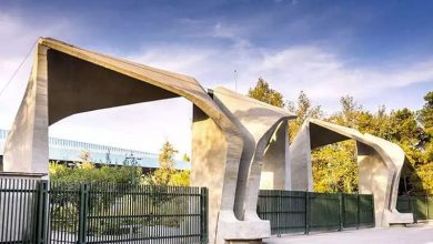 دانشگاه‌ها چه چیزهایی را به دانشجویان نمی‌آموزند؟