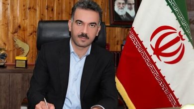 ۱۳ هزار درخت حرا در ۳ شهرستان استان بوشهر کاشته شد