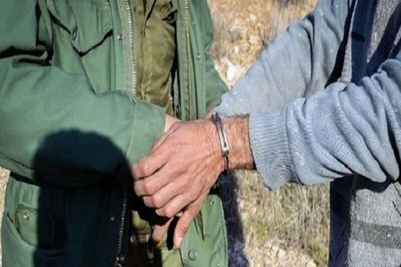 کشف ۶ لاشه قوچ و میش از منزل یک شکارچی در دامغان