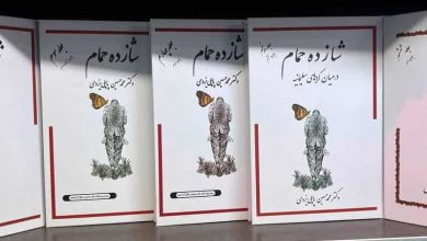 بار دیگر شازده‌ حمام | حسین مسرت