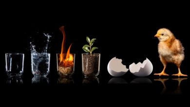حیات چگونه آغاز شد؟