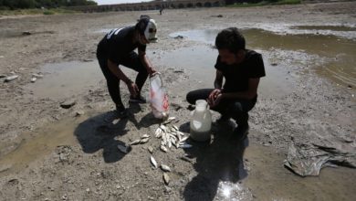 ماهی‌های قرمز؛ قاتل آفانیوس اصفهانی