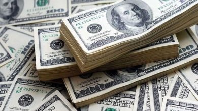 پیش‌بینی ۷ اقتصاددان از نرخ ارز در سال ۱۴۰۳