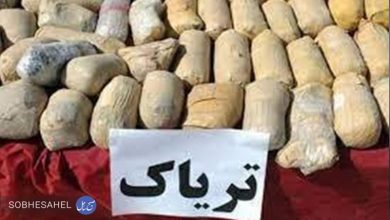 «۶۱ کیلوگرم ماده افیونی تریاک در میناب کشف شد»