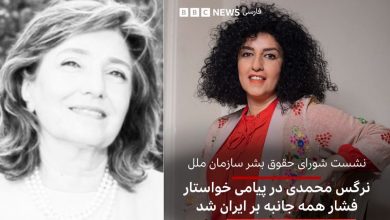 نقد الهه هیکس به درخواست نرگس محمدی برای فشار بر ایران