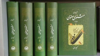 ملامتِ مجنون در حکایتی از مثنوی معنوی