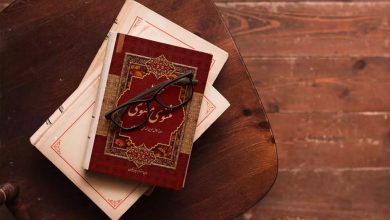 مثنوی معنوی و حکایت طاووسی که پَرهایش را می‌کَنْد