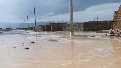 سیلاب بهاری به برخی مناطق خراسان‌جنوبی خسارت زد