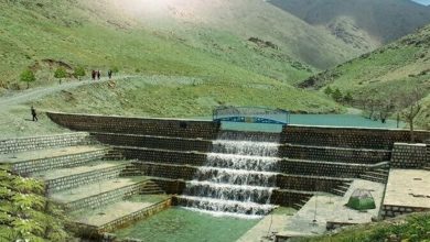 زمین‌خواران دانه‌درشت‌ چهارمحال و بختیاری در چنگال قانون