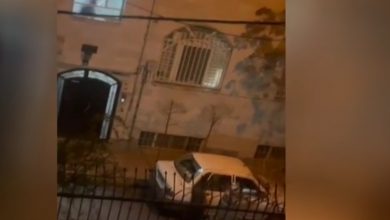 سعید بی ناموس کیست؟