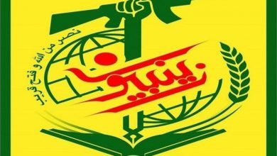 پاکستان «زینبیون» را گروه تروریستی اعلام کرد