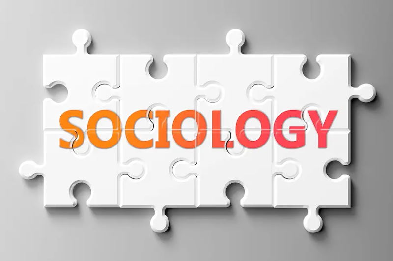 نقش بینش جامعه‌شناختی در تولید ادبیات توسعه‌محور