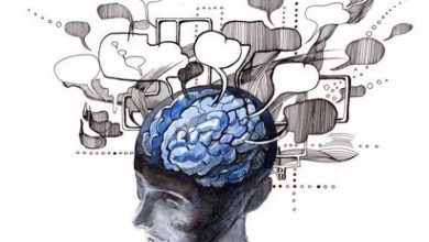 تعطیلی شنبه و خطای شناختی فقیهان