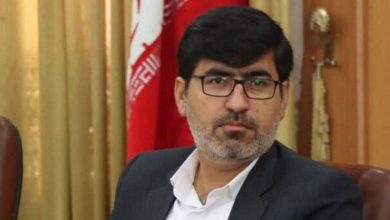 فرماندار: به‌کارگیری اتباع غیرمجاز در دشتستان بوشهر ممنوع است