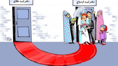 صعود طلاق و سقوط ازدواج در بوشهر [+ نمودار]