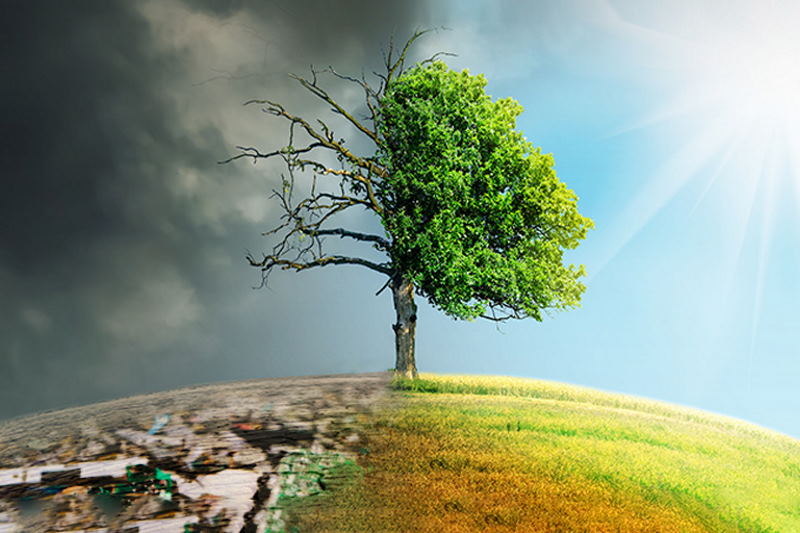 ۴ ابرچالش زیست محیطی ایران