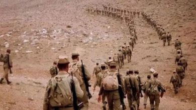 «برادرم مارکسیست بود، هیچگاه طرفدار مجاهدین نبود | داوطلبانه به جبهه رفت»