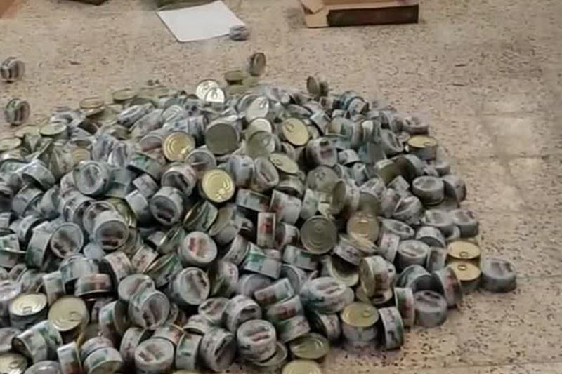 کشف بیش از ۷۲ هزار تن ماهی غیرمجاز در کاشان
