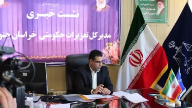 تشکیل ۲۱۳۰ پرونده قاچاق کالا و ارز در خراسان جنوبی