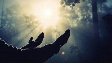 «همه‌ی انسان‌ها تاحدودی عارف‌اند»