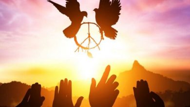 با نماد زیتون در ادیان و مذاهب بیشتر آشنا شوید