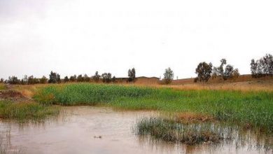 «۹۰ درصد آب استان قم به درد شرب و صنعت نمی‌خورد»