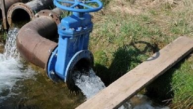 نماینده مجلس: بی‌آبی برازنده مغان اردبیل نیست