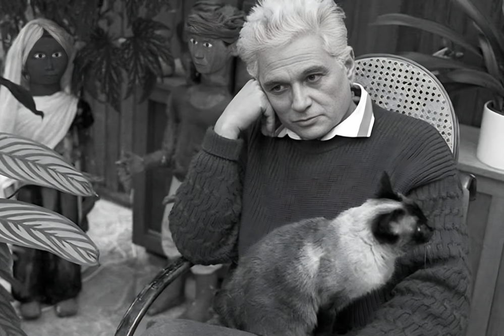 فیلسوفان در باب گربه چه میگویند؟