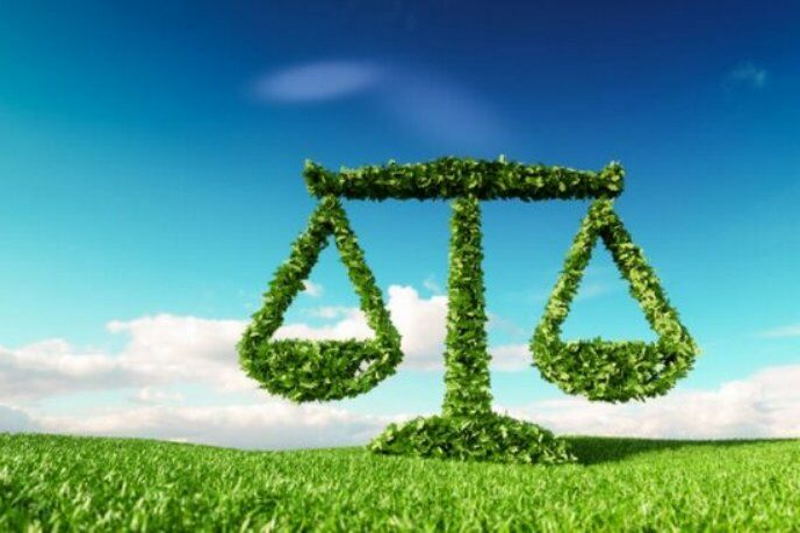حکم جالب قاضی برای یک متخلف