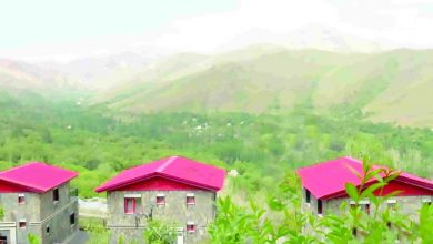 «یک باغ سالم در دره مرادبیگ همدان نداریم»