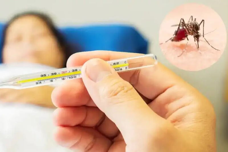 شناسایی بیماران تب دانگ در بوشهر