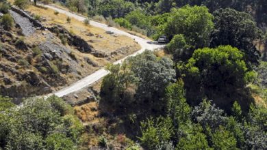 «باغ‌های پردیس شناسنامه‌دار می‌شوند»