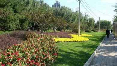 کمبود فضای سبز در همدان
