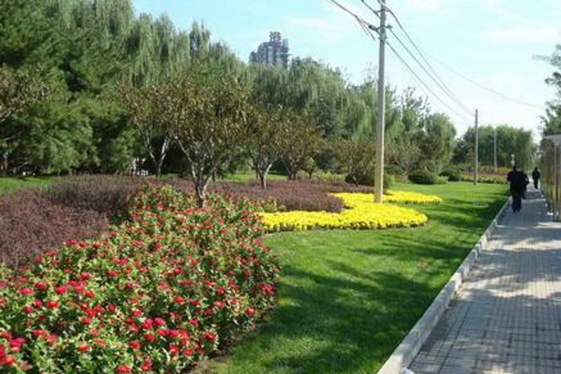 کمبود فضای سبز در همدان