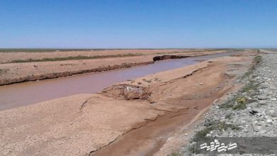 چرای بی‌رویه، تیر خلاص نابودی تالاب الله‌آباد قزوین