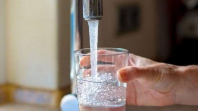 بوشهر دومین استان از لحاظ کم آبی است