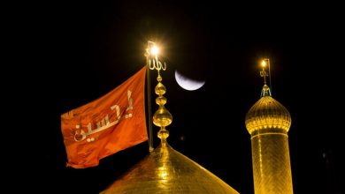 «مولانا و حافظ به امام حسین (ع) ارادت خاص داشتند»