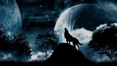 آیا انسان بدذات است؟